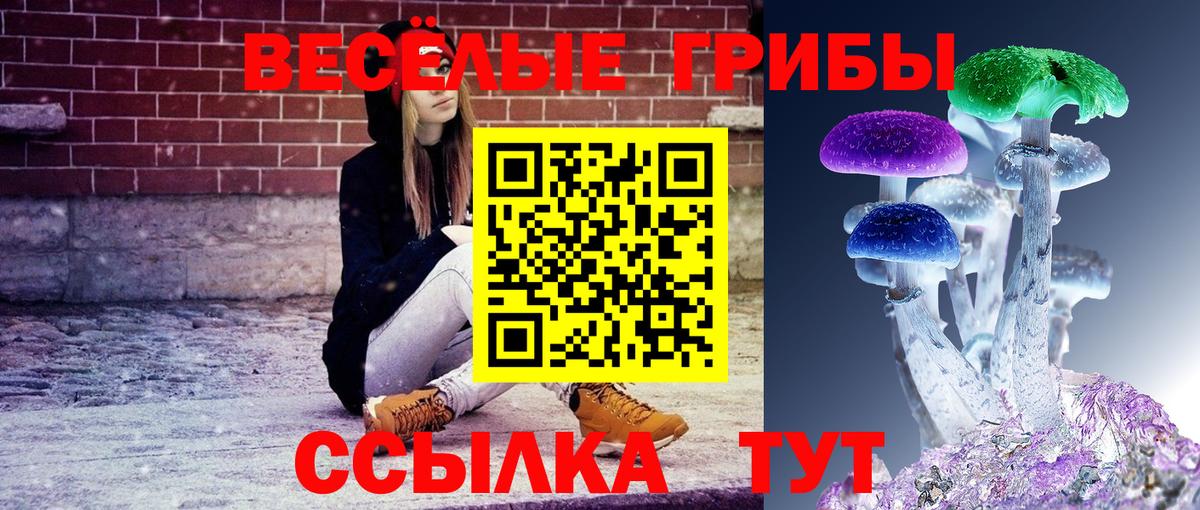 Псилоцибиновые грибы Psilocybe Анжеро-Судженск