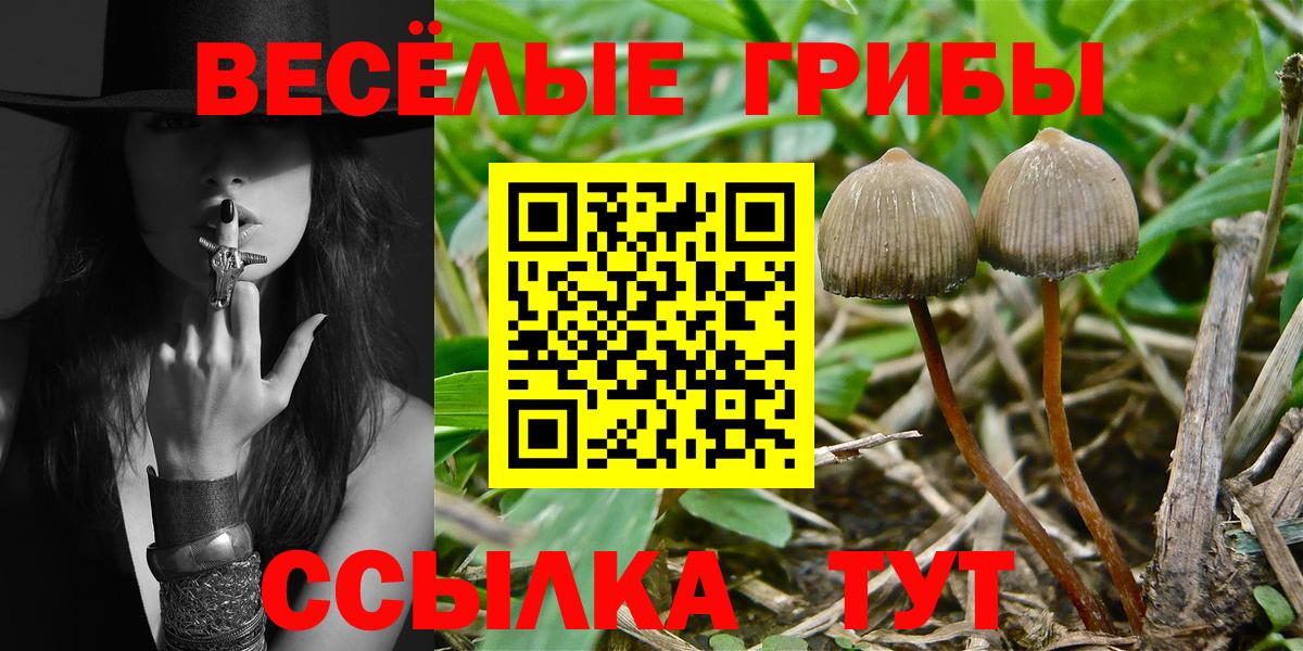 Анжеро-Судженск  Галлюциногенные грибы мухоморы  Вход с VPN 